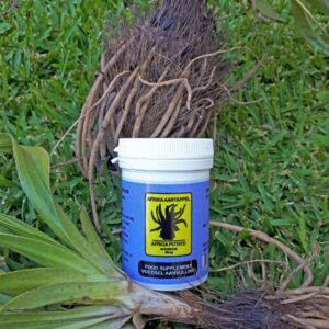 African potato food supplements